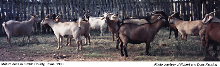 Kensing does in 1990